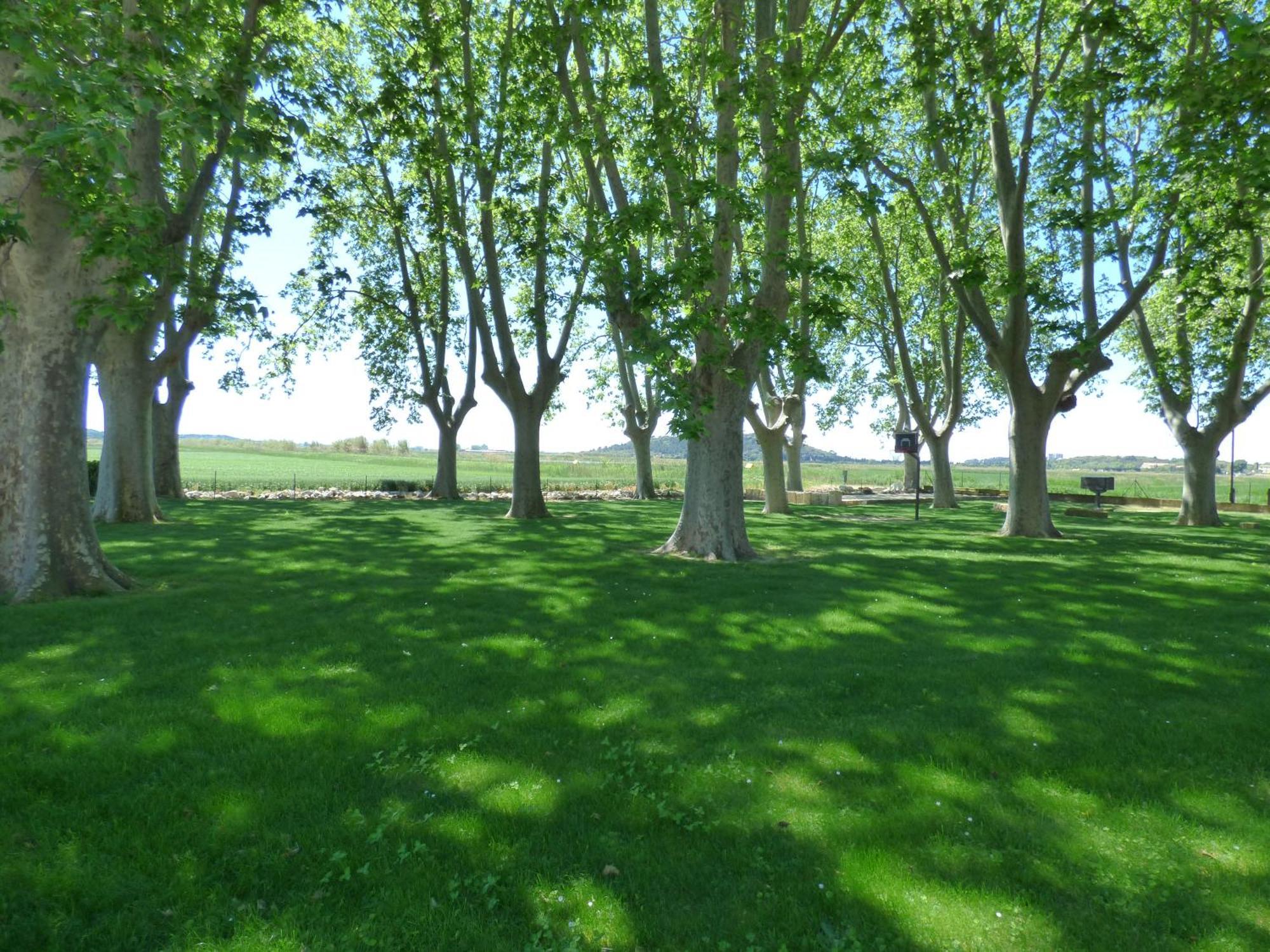 Le Domaine De Laforest Fontvieille Exterior photo
