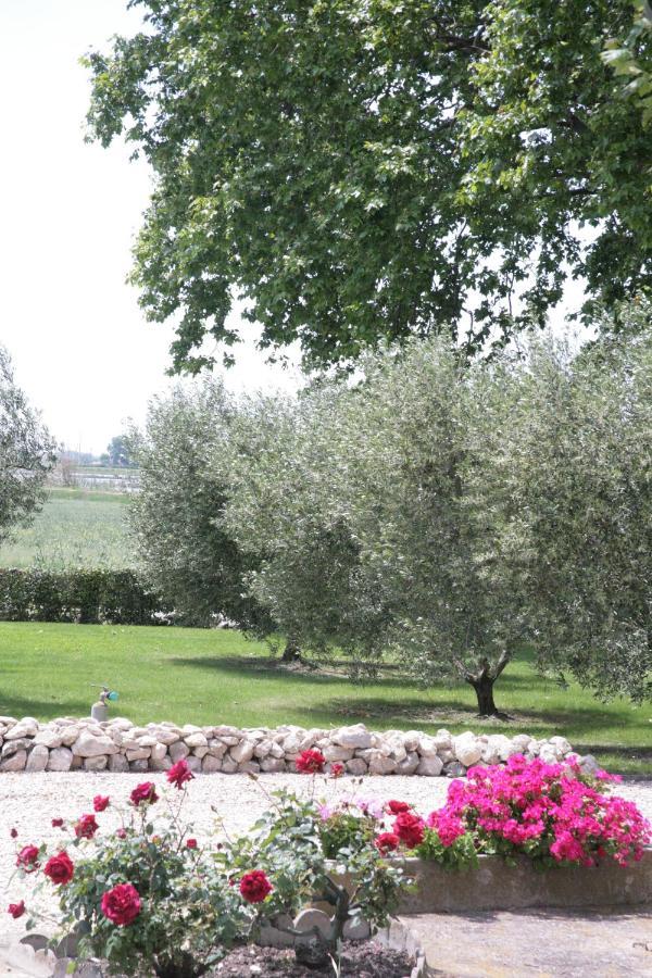 Le Domaine De Laforest Fontvieille Exterior photo